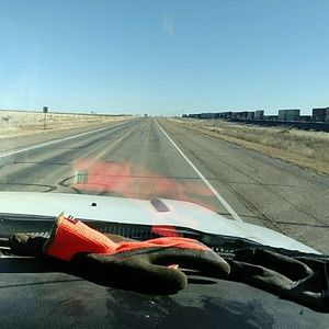 Meet your Posher, Leo